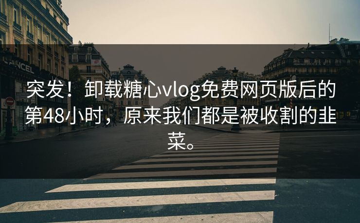 突发！卸载糖心vlog免费网页版后的第48小时，原来我们都是被收割的韭菜。